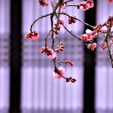 아산에서 만나는 득템의 기회! 미즈노 상설매장의 모든 것